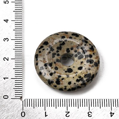 Natural Dalmatian Jasper Pendants G-F820-13A-14-1