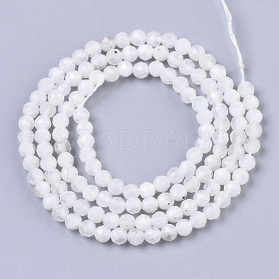 Natural Rainbow Moonstone Beads Strands LS-G-R462-032B-1
