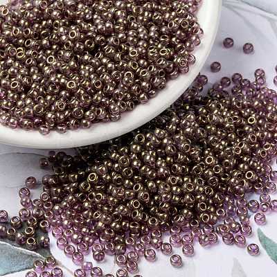 MIYUKI Round Rocailles Beads SEED-X0055-RR2448-1