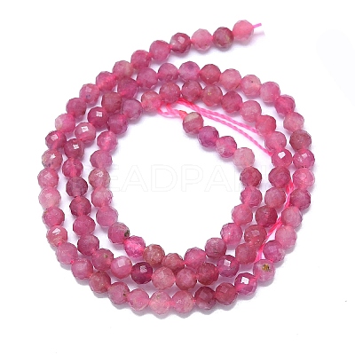 Natural Tourmaline Beads Strands G-G106-C02-03-1