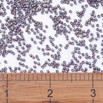 MIYUKI Delica Beads X-SEED-J020-DB1067-1