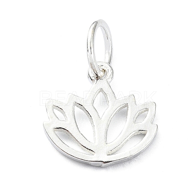 925 Sterling Silver Charms STER-M119-10S-1