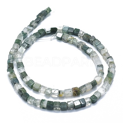 Natural Moss Agate Beads Strands G-F631-C01-1