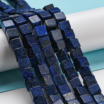 Natural Lapis Lazuli Beads Strands G-C084-E05-01-1