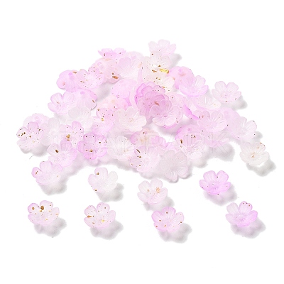 Acrylic Bead Caps OACR-Z028-03A-1