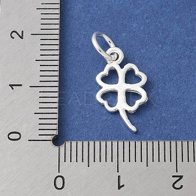 S925 Sterling Silver Pendant STER-H115-08B-S-1
