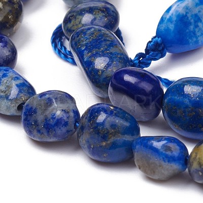 Natural Lapis Lazuli Beads Strands X-G-L493-40-1