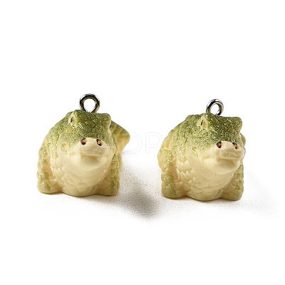 Opaque Resin Pendants RESI-G129-02-1