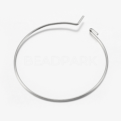 316 Surgical Stainless Steel Hoop Earrings Findings STAS-I097-050A-1