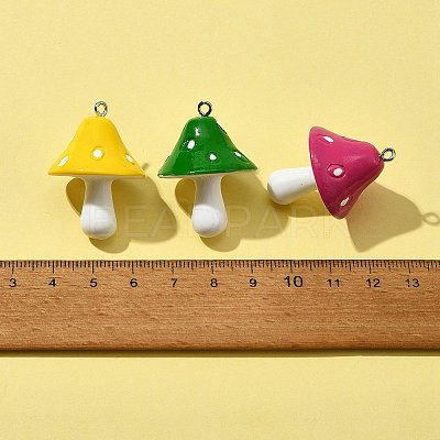 10Pcs Resin Pendants RESI-FS0001-62-1