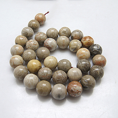 Natural Fossil Coral Round Bead Strands X-G-N0166-05-8mm-1