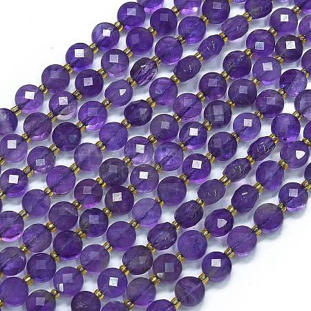 Natural Amethyst Beads Strands G-K389-B63-01-1