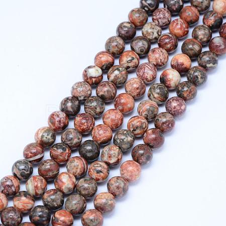 Natural Leopard Skin Jasper Beads Strands G-J358-05-10mm-1