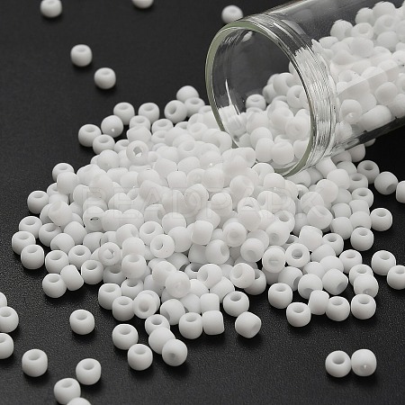 TOHO 6/0 Round Beads SEED-TR06-0041F-1