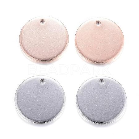 304 Stainless Steel Charms STAS-G122-23-1