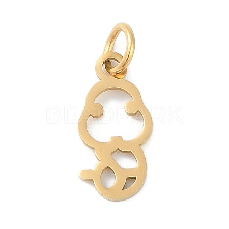 304 Stainless Steel Pendants STAS-L279-001G-06-1