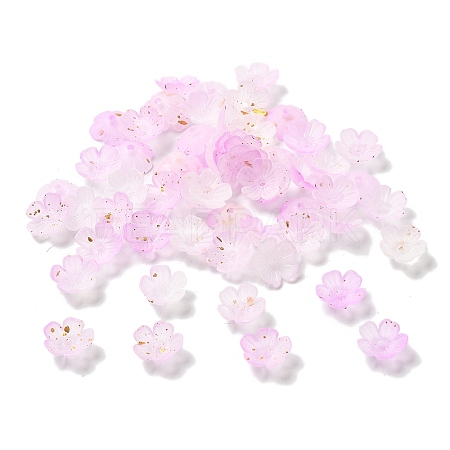 Acrylic Bead Caps OACR-Z028-03A-1