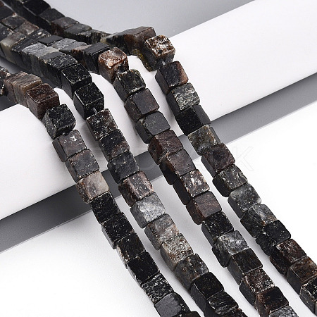 Natural Biotite Beads Strands G-T140-39A-1