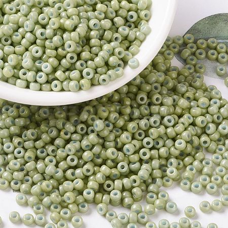 MIYUKI Round Rocailles Beads SEED-X0055-RR4473-1