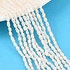 Natural Cultured Freshwater Pearl Beads Strands PEAR-F020-09-1