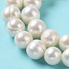 Natural Cultured Freshwater Pearl Beads Strands PEAR-E019-03-4