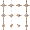 30Pcs Alloy Rhinestone Pendants FIND-SC0011-04-1