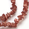 Spray Painted Freshwater Shell Beads Strands X-BSHE-L037-08-2