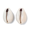 Natural Cowrie Shell Beads LS-X-BSHE-O007-73-2