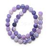 Natural Weathered Agate Bead Strands G-S237-8mm-13-2