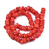 Natural Trochid Shell/Trochus Shell Beads Strands SHEL-S258-081-B06-2