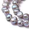 Natural Cultured Freshwater Pearl Beads Strands PEAR-R064-24-2
