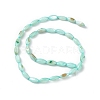Natural Freshwater Shell Dyed Beads Strands SHEL-M018-13-3
