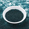 MIYUKI Round Rocailles Beads X-SEED-G007-RR2406-2