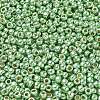 TOHO 6/0 Round Beads SEED-XTR06-PF0560-3