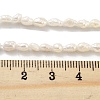 Natural Keshi Pearl Cultured Freshwater Pearl Beads Strands PEAR-P062-19-5
