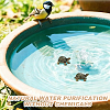 8Pcs Brass Tortoise Figurine Statue for Living Room Table Home Decoration DJEW-GO0001-12-5