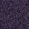 MIYUKI Round Rocailles Beads SEED-JP0008-RR0157-3