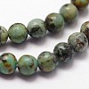 Natural African Turquoise(Jasper) Beads Strands G-N0188-02-2mm-3