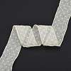 20 Yards Polyester Mesh Ribbon SRIB-P021-E06-1