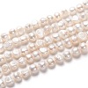 Natural Cultured Freshwater Pearl Beads Strands PEAR-L033-50-01-1