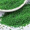 MIYUKI Round Rocailles Beads SEED-G009-RR0411-1