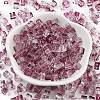 Spray Painted Glass Seed Beads SEED-A034-01H-2