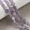 Natural Lepidolite/Purple Mica Stone Beads Strands G-B138-C18-01-1