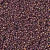 MIYUKI Delica Beads X-SEED-J020-DB1013-3