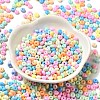 Baking Paint Glass Seed Beads SEED-B001-02A-10-2