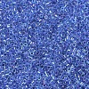 MIYUKI Delica Beads SEED-MY11-DB0077-3