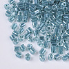 8/0 Two Cut Glass Seed Beads SEED-S033-10A-04-2