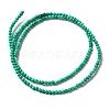 Natural Howlite Beads Strands G-C025-15A-3