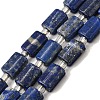 Natural Lapis Lazuli Beads Strands G-Z087-C01-2
