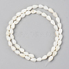 Natural Freshwater Shell Beads Strands SSHEL-R048-007B-2
